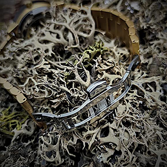 Holzwerk HERNE Automatik-Uhr in gold-schwarz mit Holzring, schwarz-goldenem Ziffernblatt mit offener Unruhe, Ansicht der Faltschließe